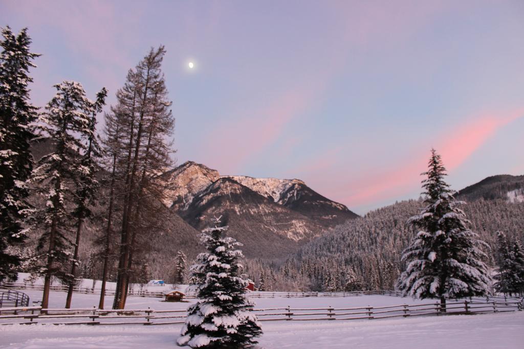 Home Lodge Голден Экстерьер фото
